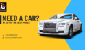 Pet Friendly Cab Service Mumbai | JustCabHire Mumbai – Book Now